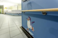 IMG_2950-11